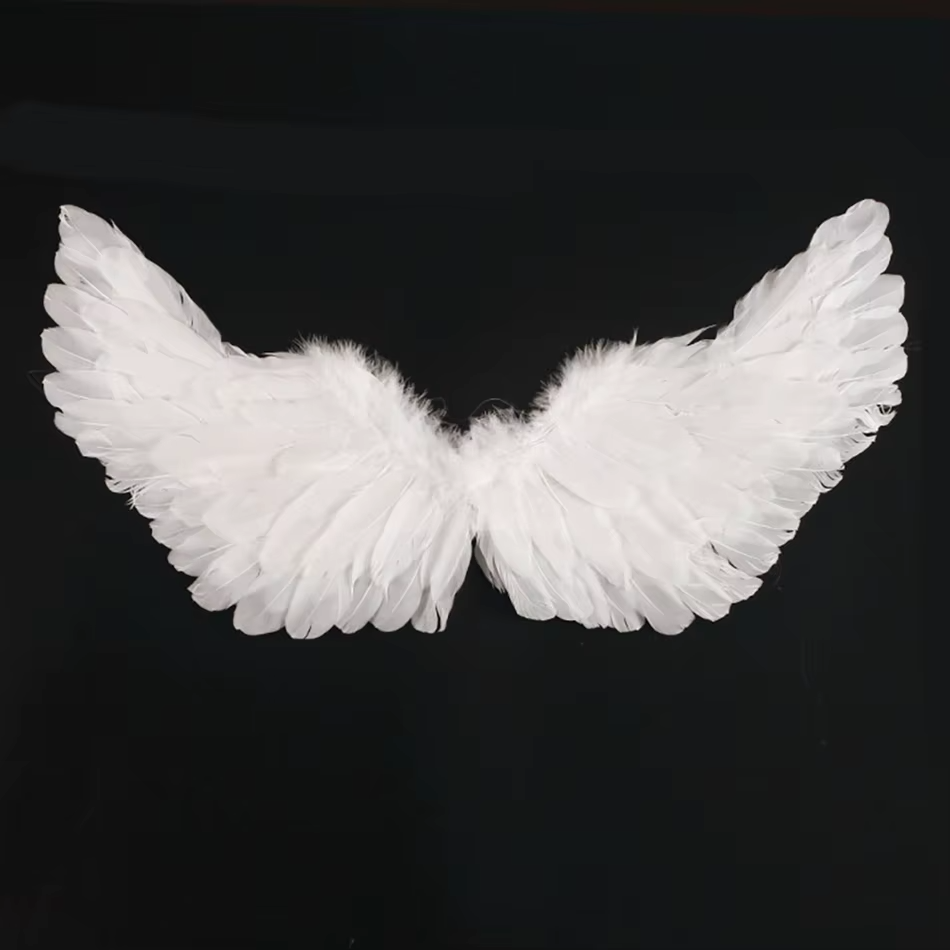 Costume Ailes d'Ange Enfant