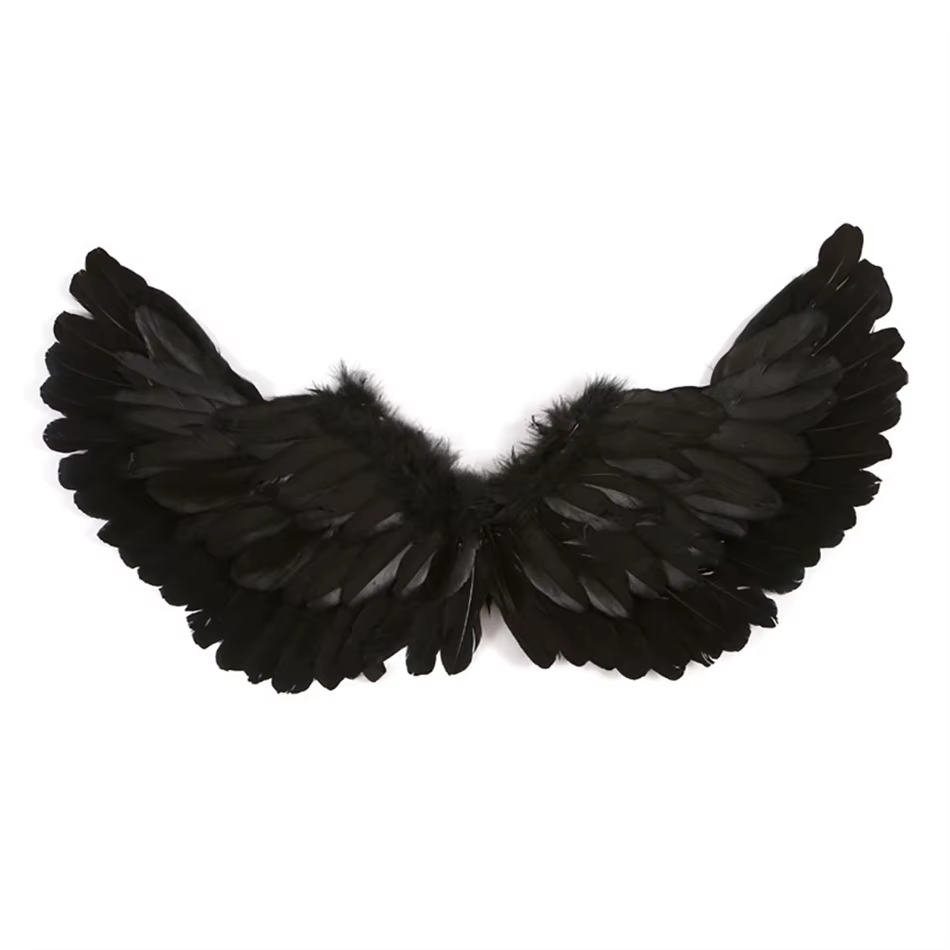Costume Ailes d'Ange Enfant