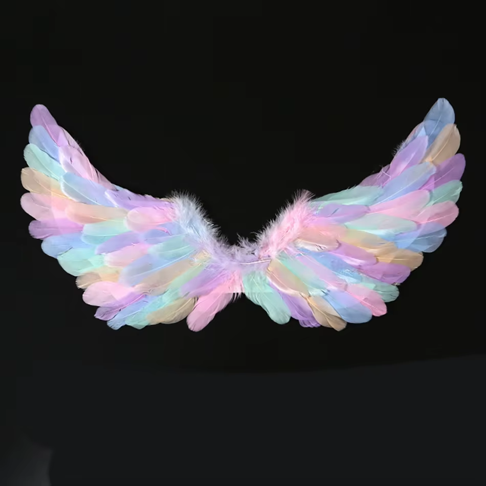 Costume Ailes d'Ange Enfant