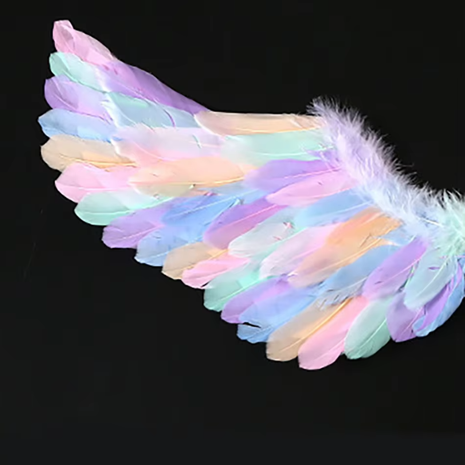 Costume Ailes d'Ange Pastel Détail Gauche