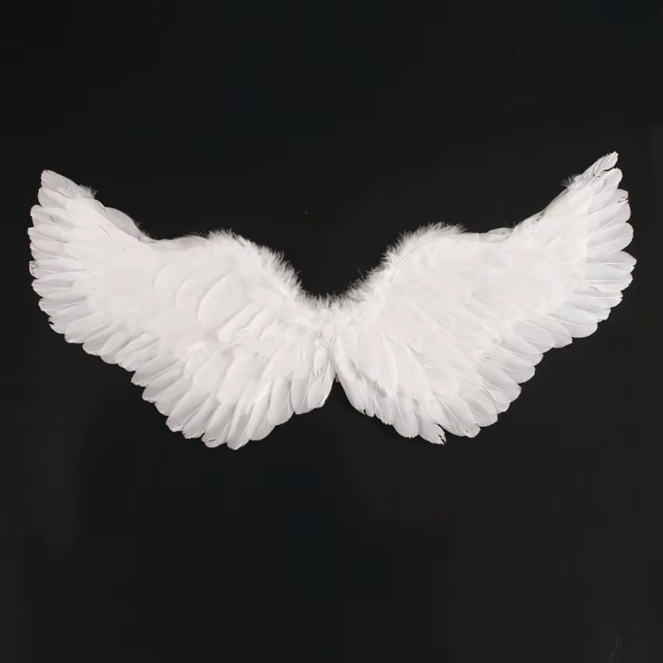 Costume Ailes d'Ange Blanc
