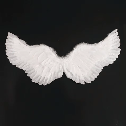Costume Ailes d'Ange Blanc