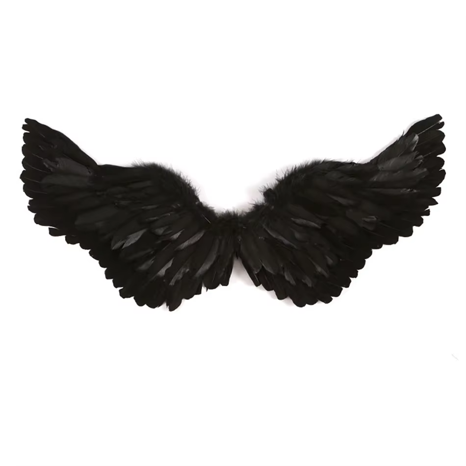 Costume Ailes d'Ange Noir
