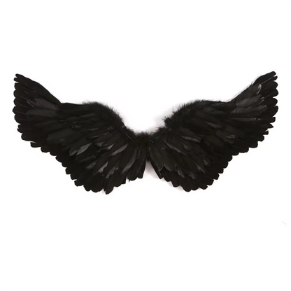 Costume Ailes d'Ange Noir
