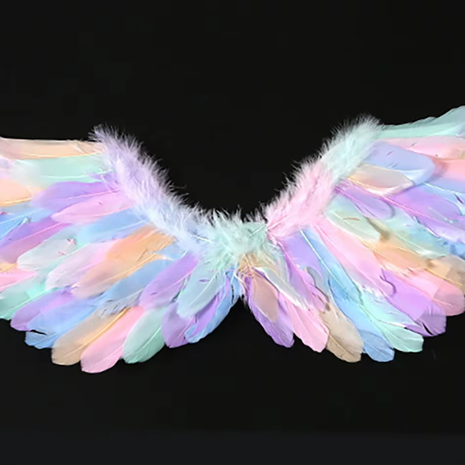 Costume Ailes d'Ange pastel Détail Centre