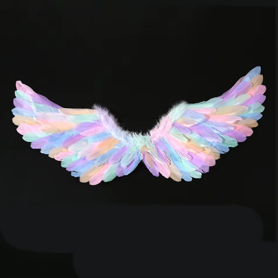 Costume Ailes d'Ange pastel
