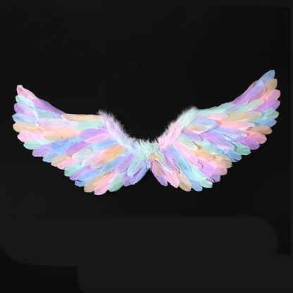 Costume Ailes d'Ange pastel